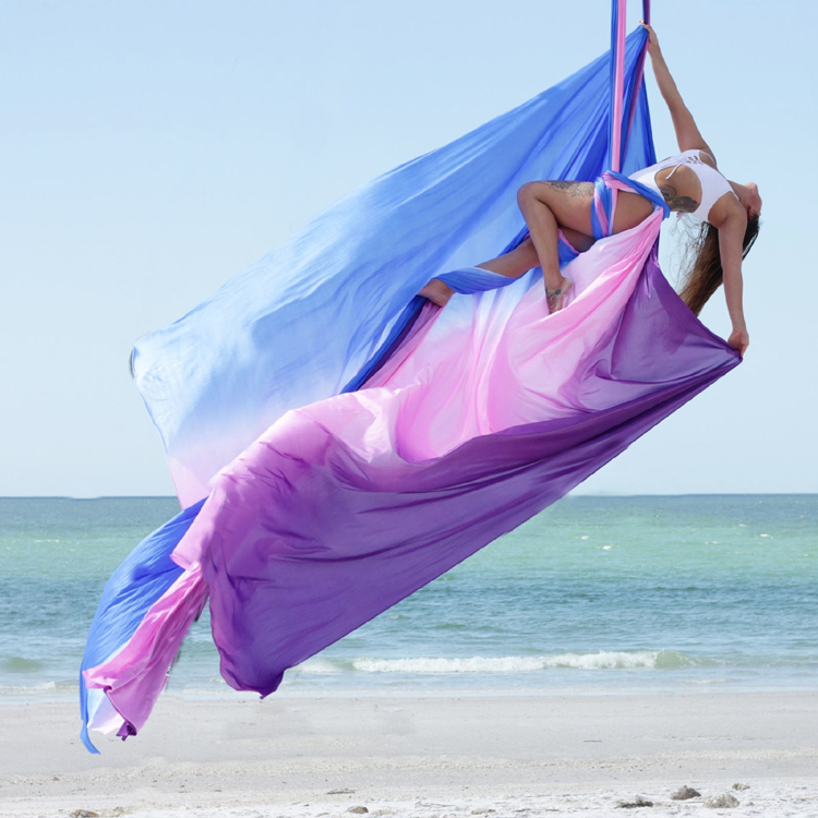 Aerial Yoga Swing, Durable Nyl - đánh giá và giá Home Pilates Yoga